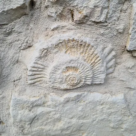 Casa de Férias Cuda Wianki