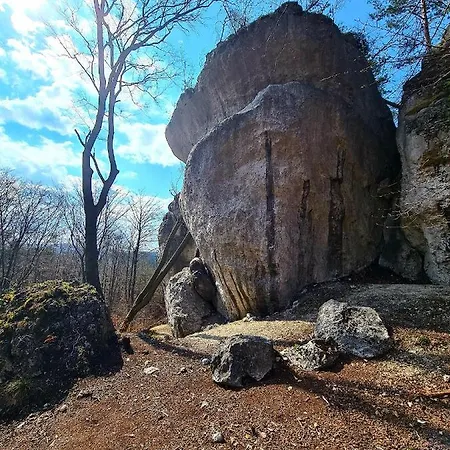 Cuda Wianki Zdow