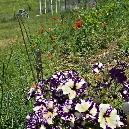 Casa de Férias Cuda Wianki Zdow