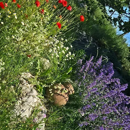 Cuda Wianki Casa de Férias Zdow