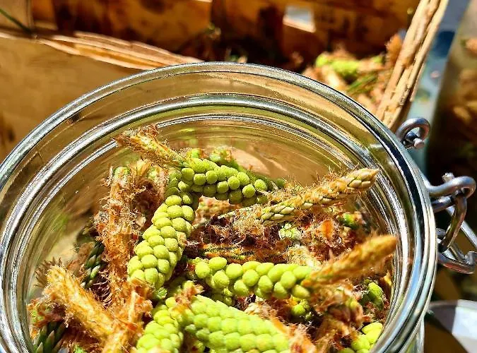 Cuda Wianki בית נופש Zdow