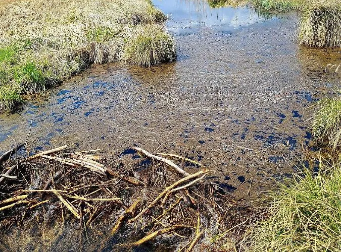 Cuda Wianki בית נופש *