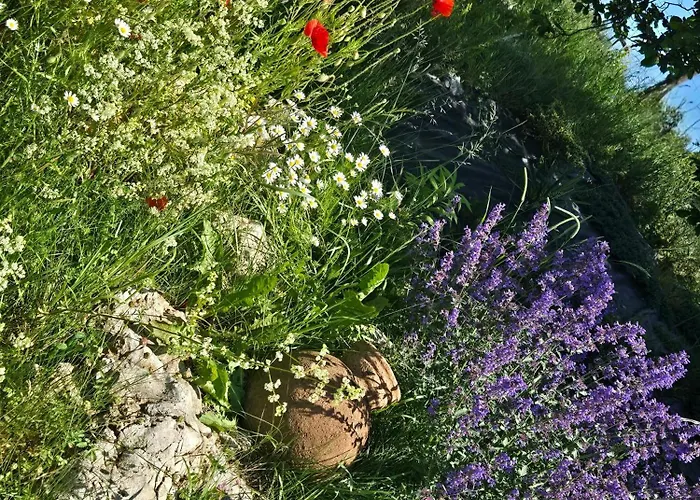 Cuda Wianki בית נופש Zdow